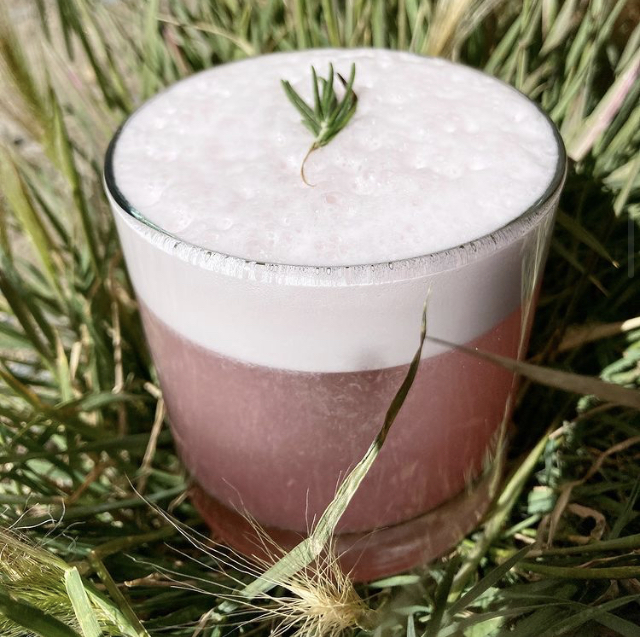 A blush sour with a foam cap and rosemary sprig nestled in prairie grass