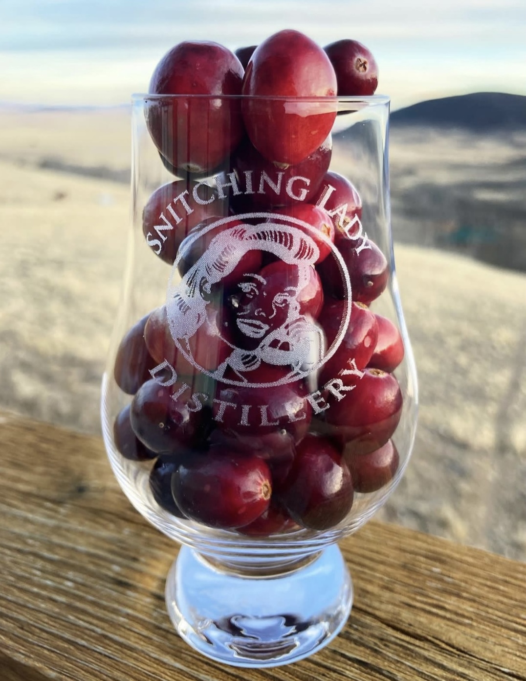 A Snitching Lady tasting glass filled with fresh cranberries against the foothills