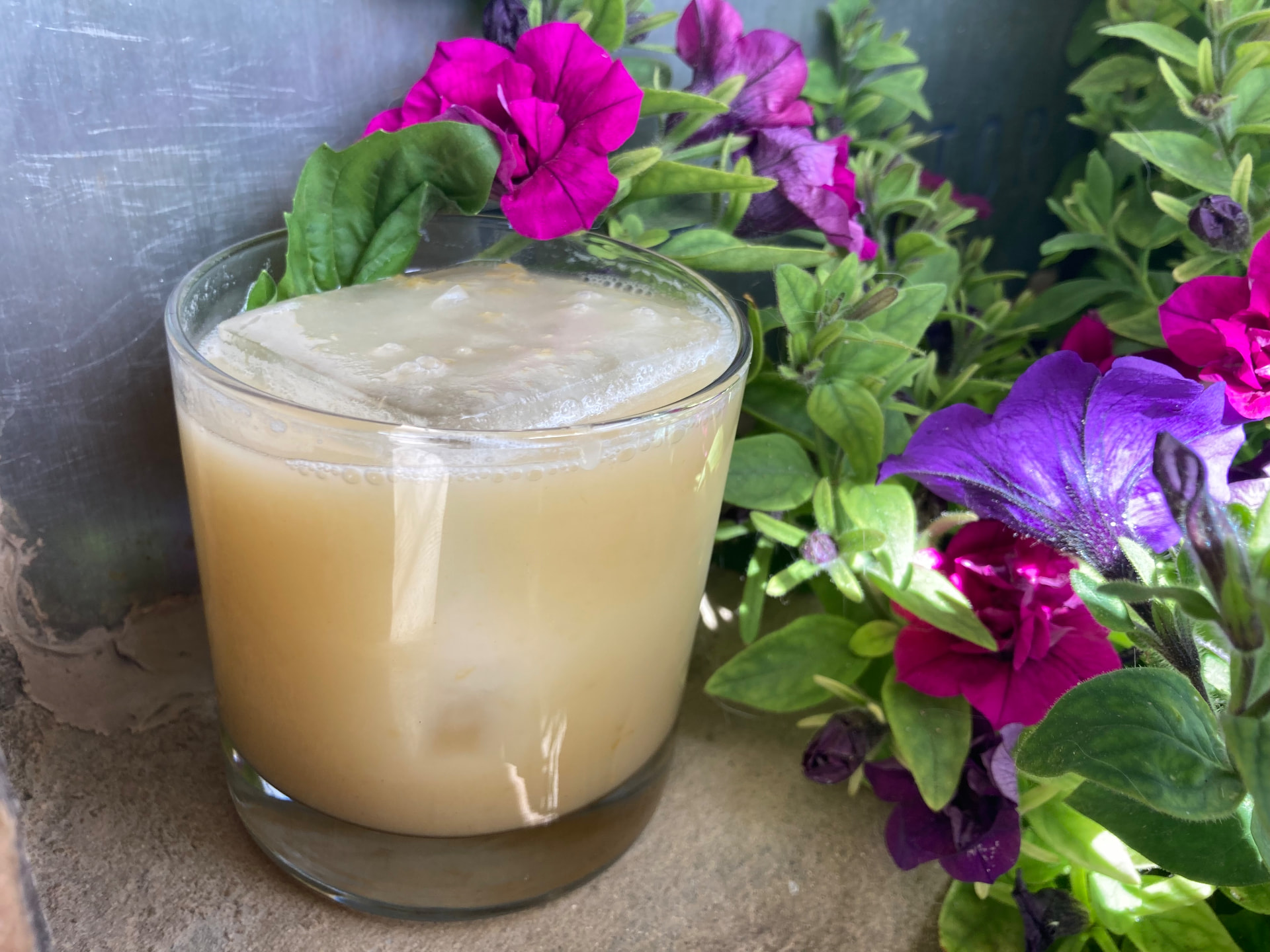 A creamy citrus sour over a clear ice block among bright petunias