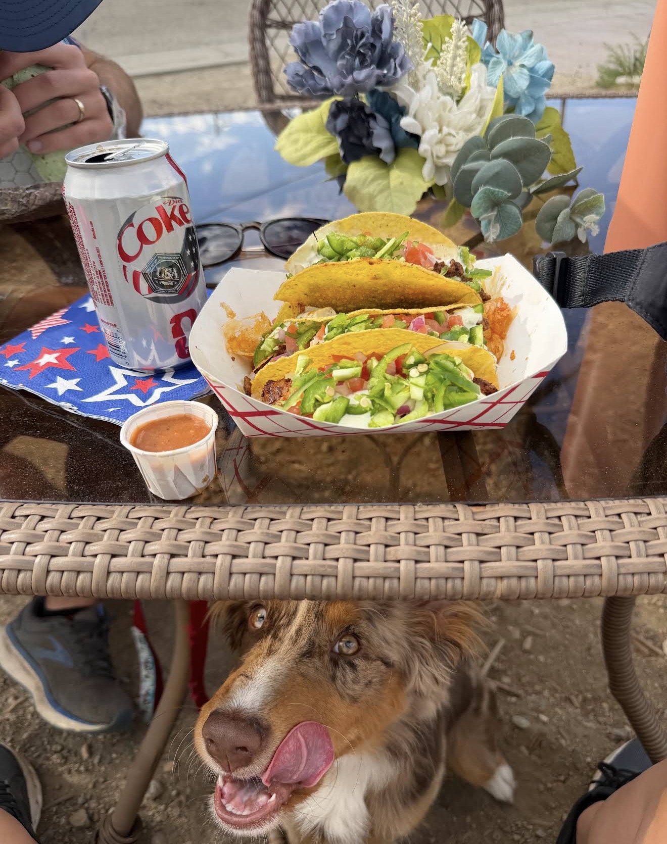 A tray of tacos on the patio with a happy Australian shepherd hoping for a bite